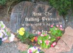 Arne C. S. Petersen.jpg